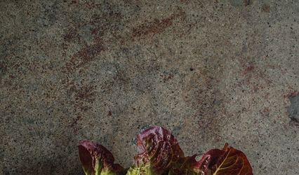 Palma Plant-Based Catering