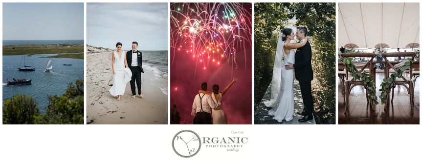 Organic Photography Cape Cod