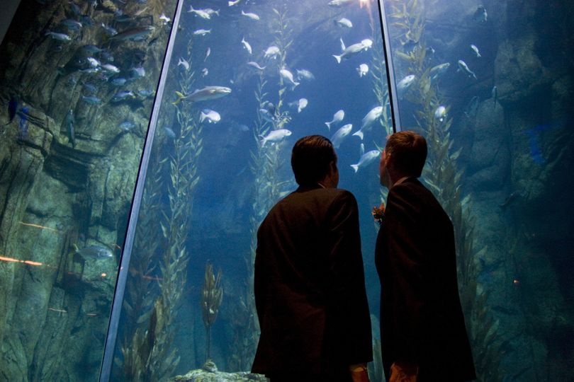 Aquarium Of The Pacific Venue Long Beach Ca Weddingwire