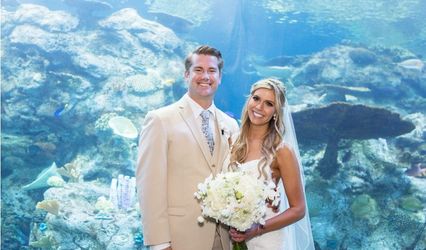 Aquarium of the Pacific