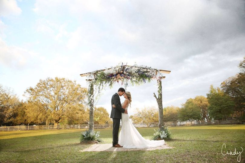 Cindy Harter Photography