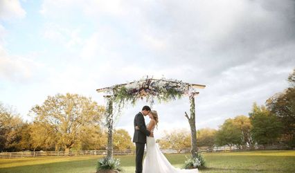 Cindy Harter Photography