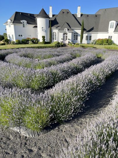 Happimiss Lavender Garden