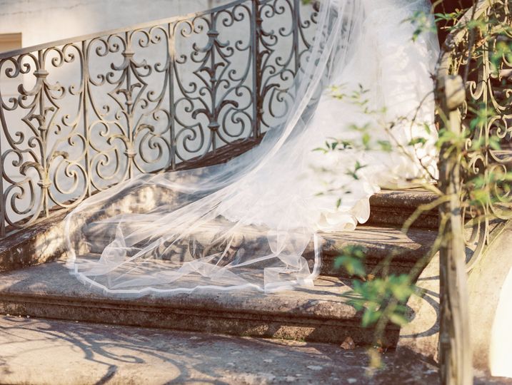 Paperlily Photography