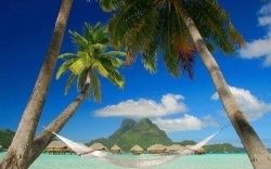 Your Dream Escapes