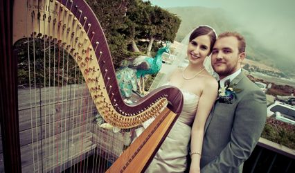 Pamela Pamperin, Harpist