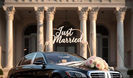 Alpine Limousine Service, Inc.