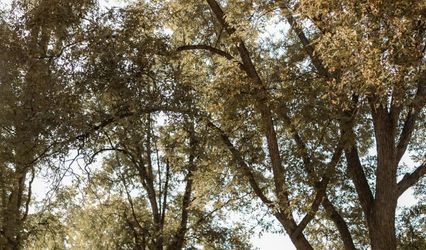 Everlasting Photos LLC