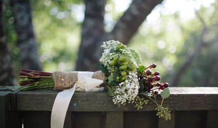 Carolynn Seibert Photography