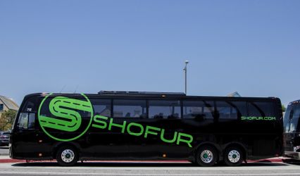 Shofur
