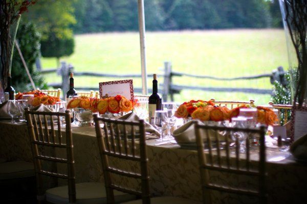 Matt Veldhuis Photography, LLC
