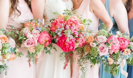 Lily Rose Events