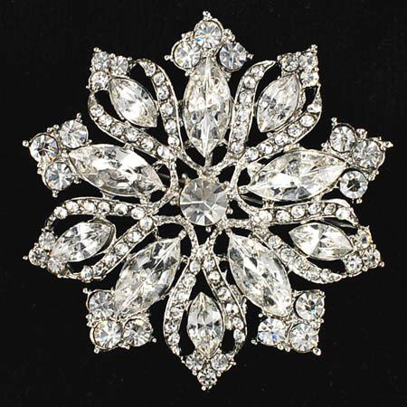 Fabulous Brooch