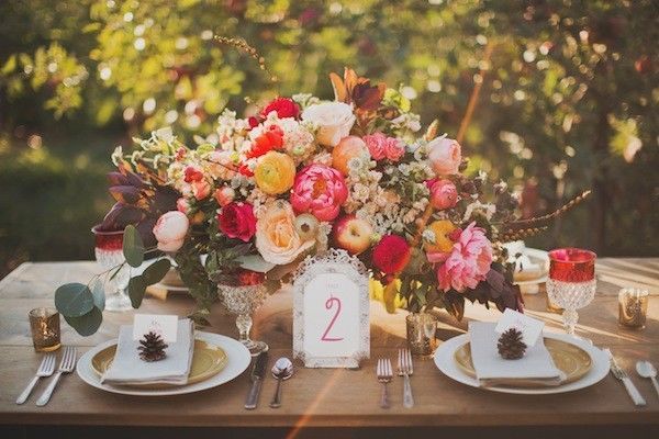 Sarah Park Events