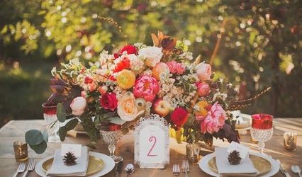 Sarah Park Events