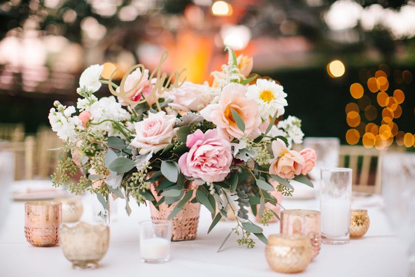 Stephanie Uchima Events