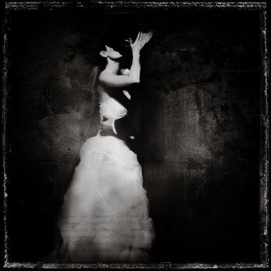 Jessica Del Vecchio Photography