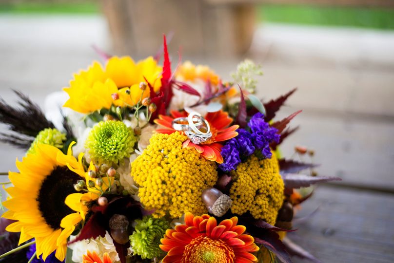 Melissa Washburn Photography