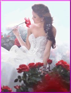 The Bridal Boutique Ltd