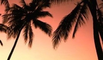 Travel To Paradise