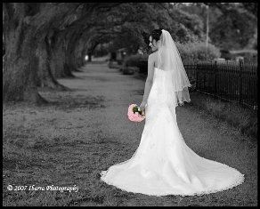 Ibarra Photography
