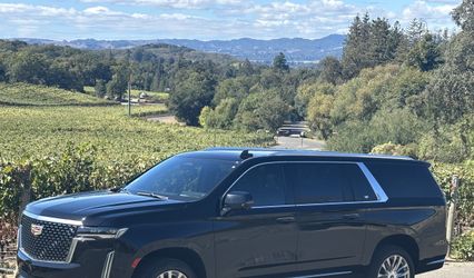 Impressive limo
