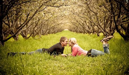Madelyn Wayment Photography