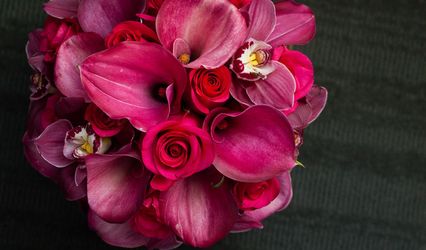 Ariston Flowers
