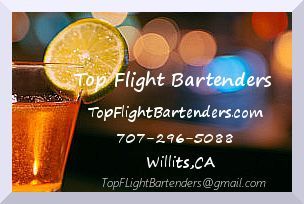 Top Flight Bartenders