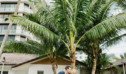 Beachcomber Resort and Villas