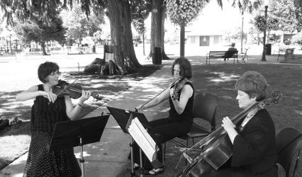 South Sound Strings