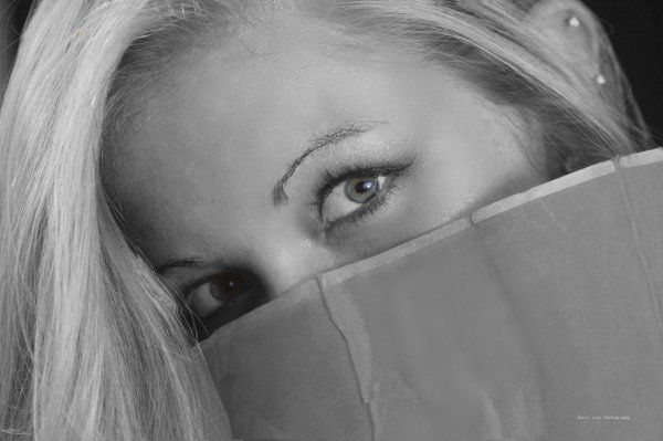 Kerri Lane Studio