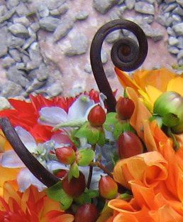 hobarts fine florals