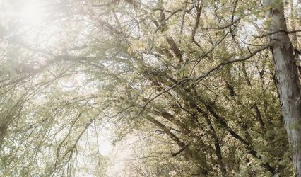 Chelsey Pember Photography