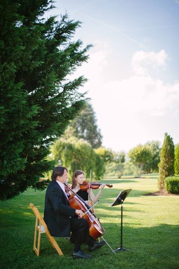 Ivy Creek Strings