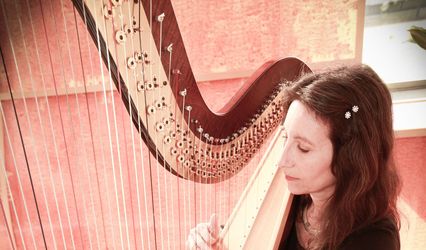 Andrea Stern, Harpist