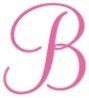 Bella Bride Wedding Films