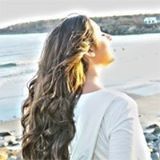 Harbor Hair Company