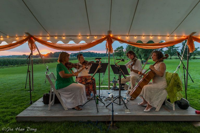 Hudson Valley Strings