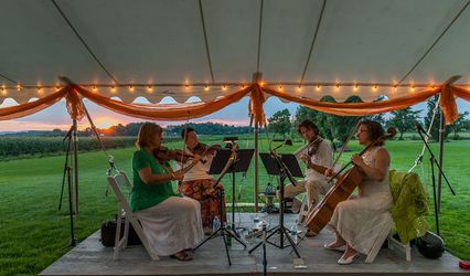 Hudson Valley Strings