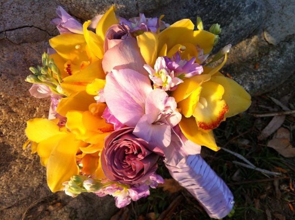 Divine Blooms and Designs