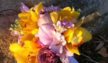 Divine Blooms and Designs