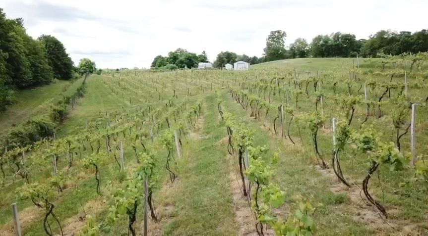 Hudson-Chatham Winery