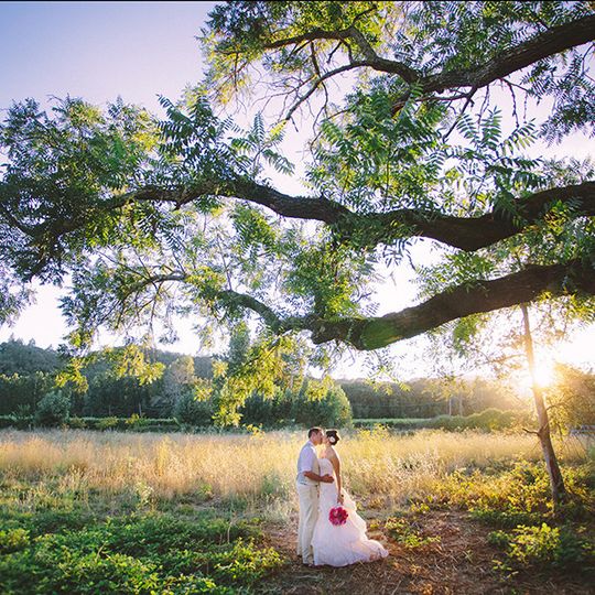 Melissa Cramer Photography