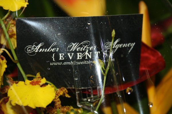 Amber Weitzer Agency and Sogni d'oro