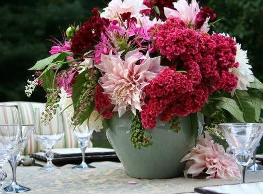 Stems Flower Design