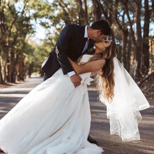 Timberline Photography and Films