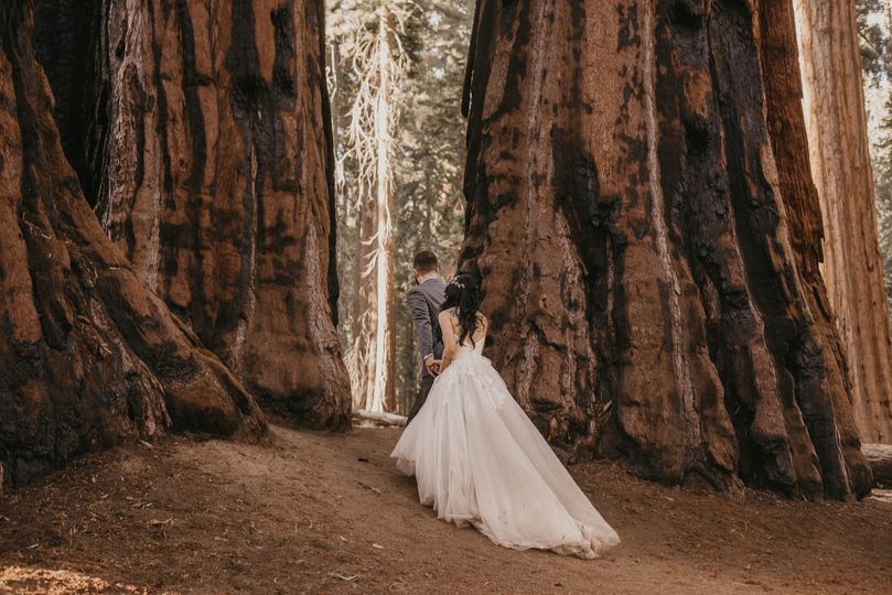 Staci and Michael Photography