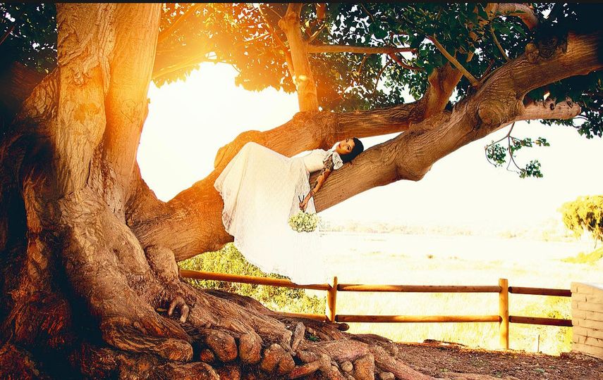 Lacey O. Photography
