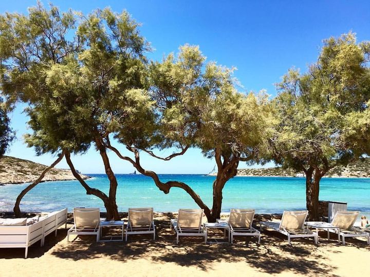 PALM BEACH PAROS